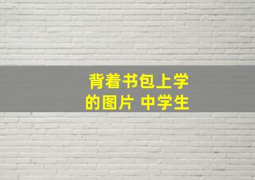 背着书包上学的图片 中学生